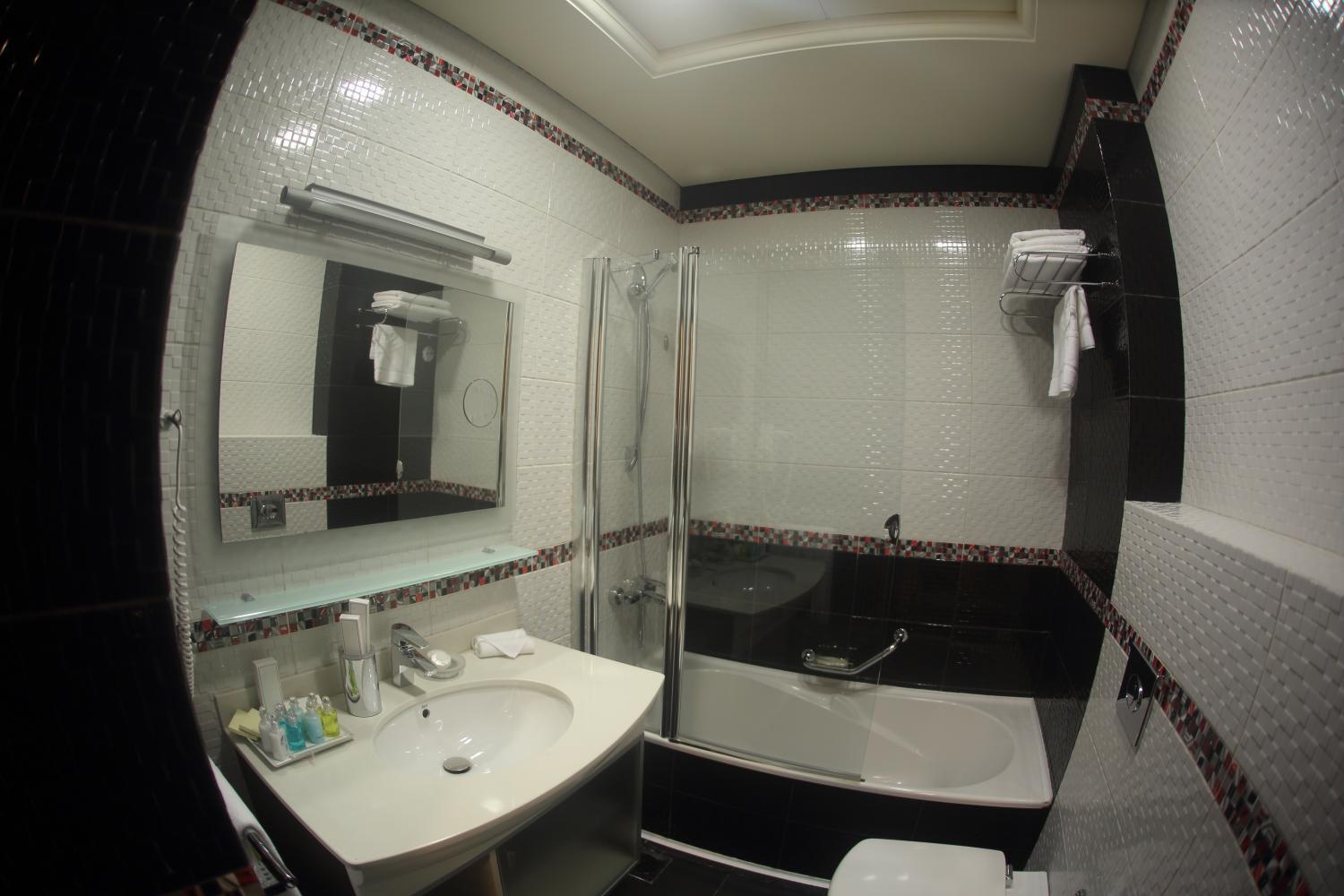 Dolphin Royal Hotel